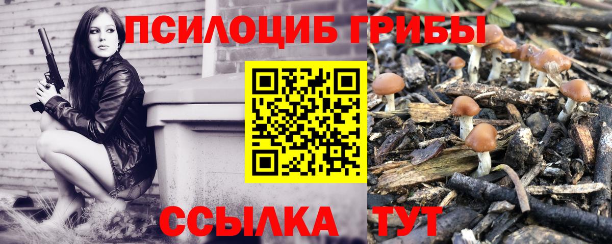 что такое   Псилоцибиновые грибы Magic Shrooms  Галлюциногенные грибы Psilocybe  Вход с VPN  Ахтубинск 