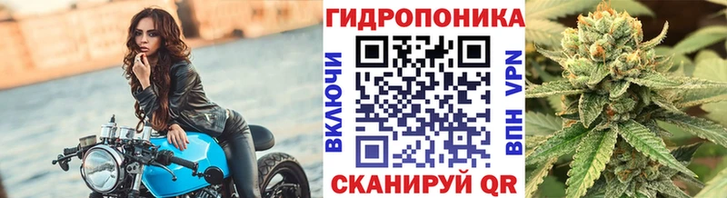 Канабис конопля Ахтубинск